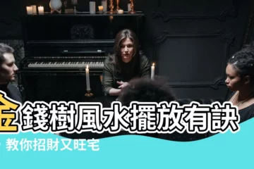 【錢樹風水】金錢樹風水擺放有訣竅，教你招財又旺宅！