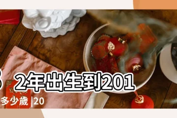 【1982年-2019年多少歲】82年出生到2019年多少歲 |2024今年生肖 |12生肖年齡對照表 |