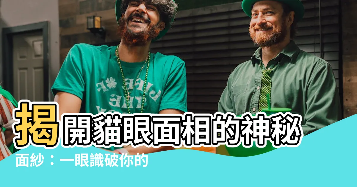 【貓眼 面相】揭開貓眼面相的神秘面紗：一眼識破你的性格秘密！