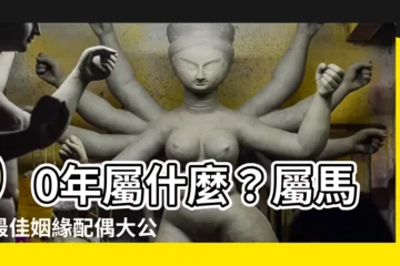 【90年屬什麼】90年屬什麼？屬馬的最佳姻緣配偶大公開！