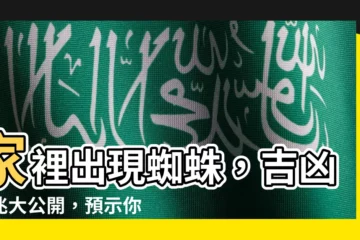 【看到蜘蛛代表什麼】家裡出現蜘蛛，吉凶徵兆大公開，預示你的運勢！