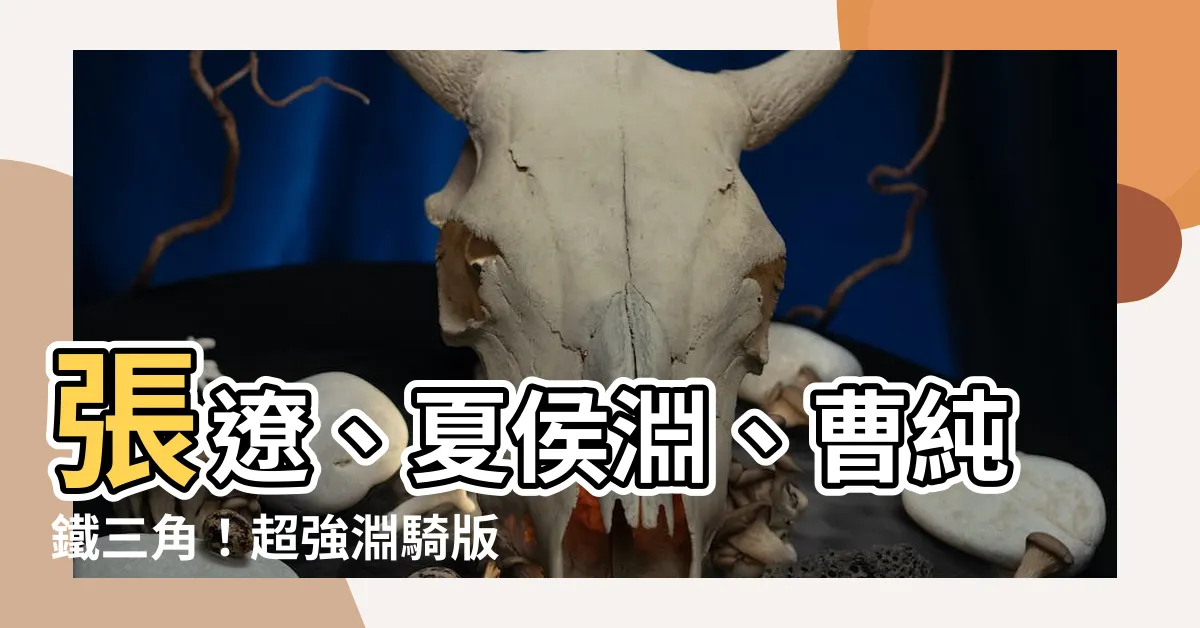 【張遼 夏侯淵 曹純】張遼、夏侯淵、曹純鐵三角！超強淵騎版本T0，突擊3倍殺敵！