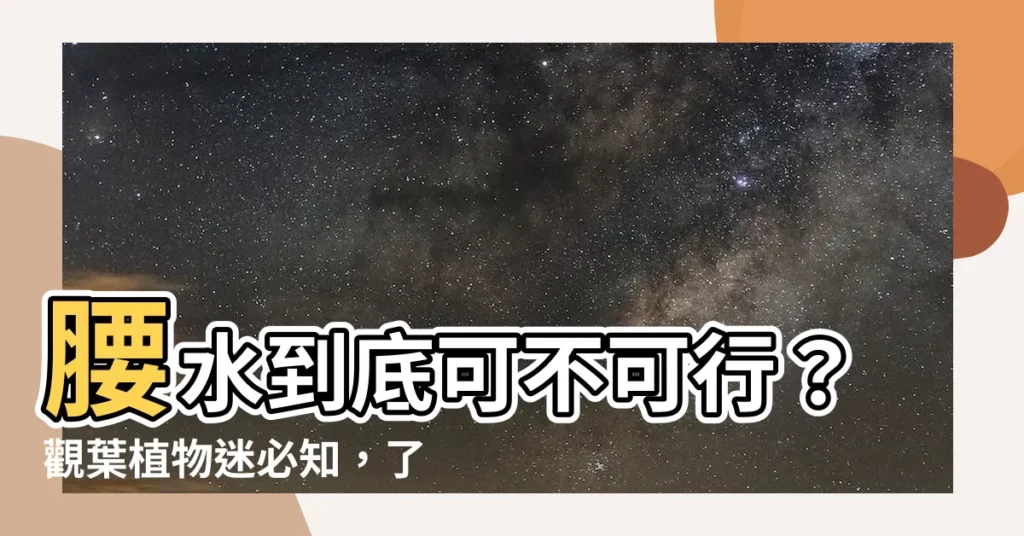 【腰水是什麼】腰水到底可不可行？觀葉植物迷必知，瞭解「腰水是什麼」！