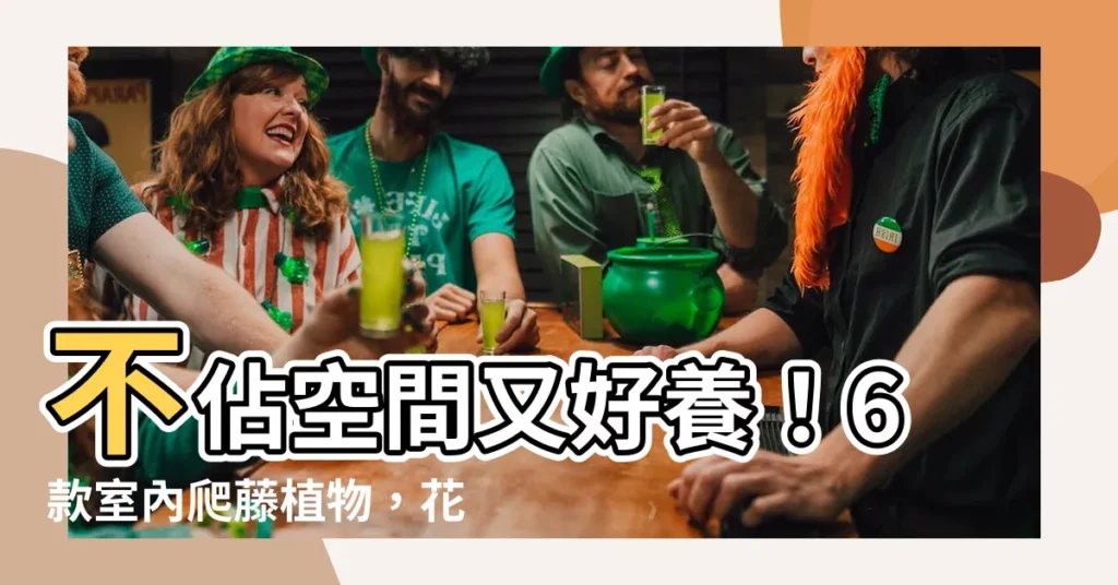 【室內爬藤植物】不佔空間又好養！6款室內爬藤植物，花盆也能享受綠意盎然