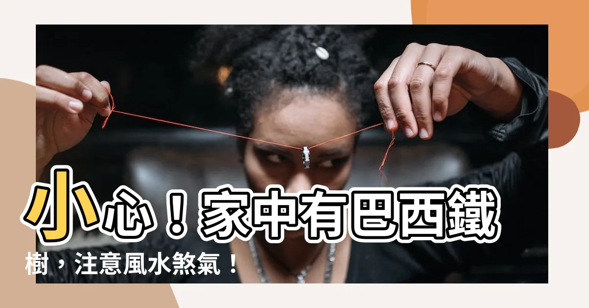 【巴西鐵樹風水】小心！家中有巴西鐵樹，注意風水煞氣！