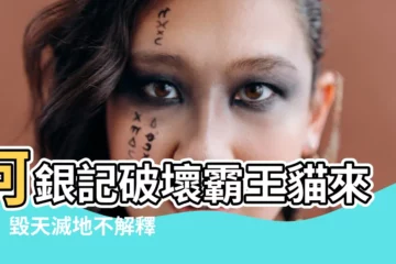 【和金銀】何銀記破壞霸王貓來了！毀天滅地不解釋！