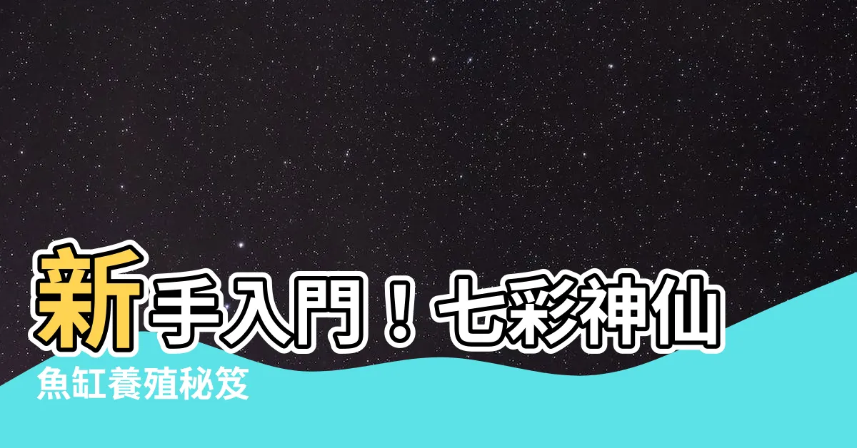 【七彩神仙魚缸】新手入門！七彩神仙魚缸養殖秘笈