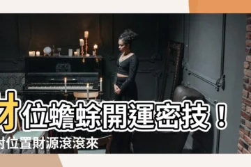 【財位蟾蜍】財位蟾蜍開運密技！擺對位置財源滾滾來