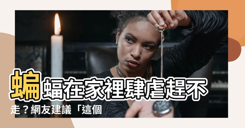 【蝙蝠趕不走】蝙蝠在家裡肆虐趕不走？網友建議「這個方法」測試過有效