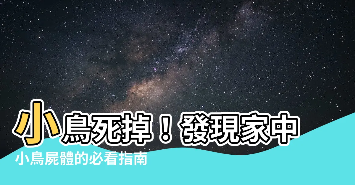 【小鳥死掉】小鳥死掉！發現家中小鳥屍體的必看指南