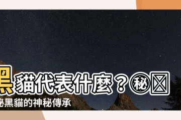 【黑貓代表】黑貓代表什麼？㊙️揭秘黑貓的神秘傳承和文化象徵