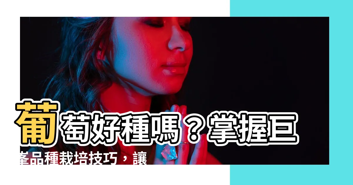 【葡萄好種嗎】葡萄好種嗎？掌握巨峯品種栽培技巧，讓您成為葡萄種植的行家！