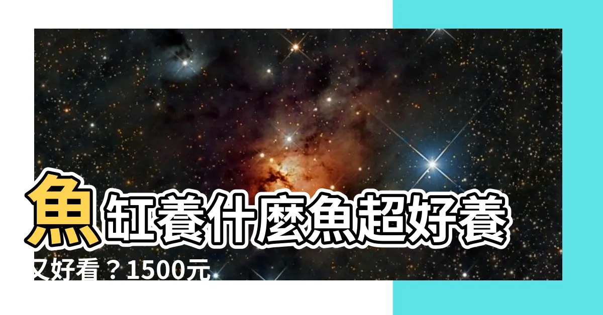 【魚缸養什麼魚好】魚缸養什麼魚超好養又好看？1500元打造療癒水族箱！