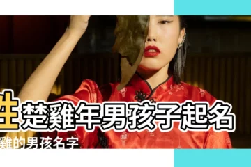 【雞年男孩起名楚姓】姓楚雞年男孩子起名 |屬雞的男孩名字大全集 |雞年楚姓起名 |