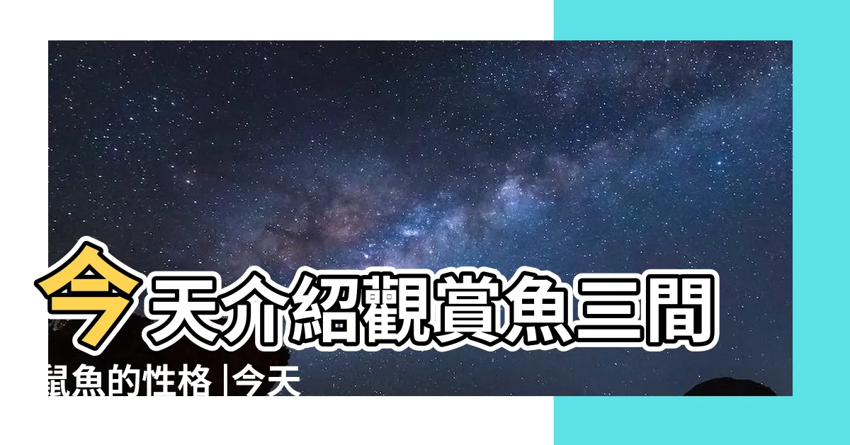 【三間鼠成長速度】今天介紹觀賞魚三間鼠魚的性格 |今天介紹觀賞魚三間鼠魚的性格 |三間鼠魚優缺點 |