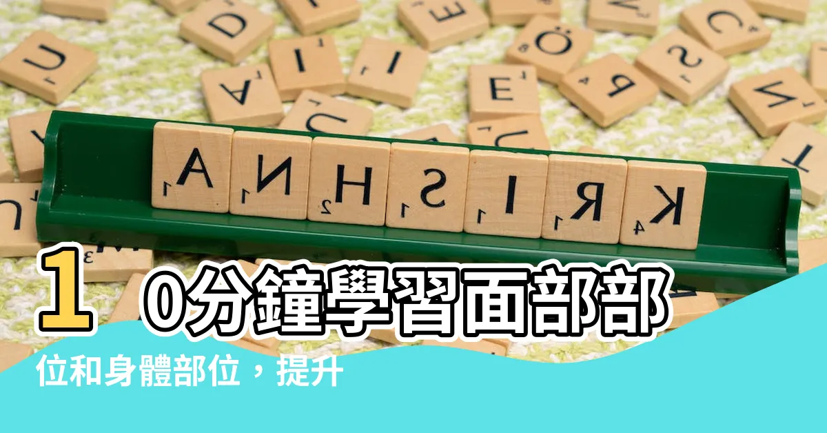 【面部部位】10分鐘學習面部部位和身體部位，提升你的中文能力！