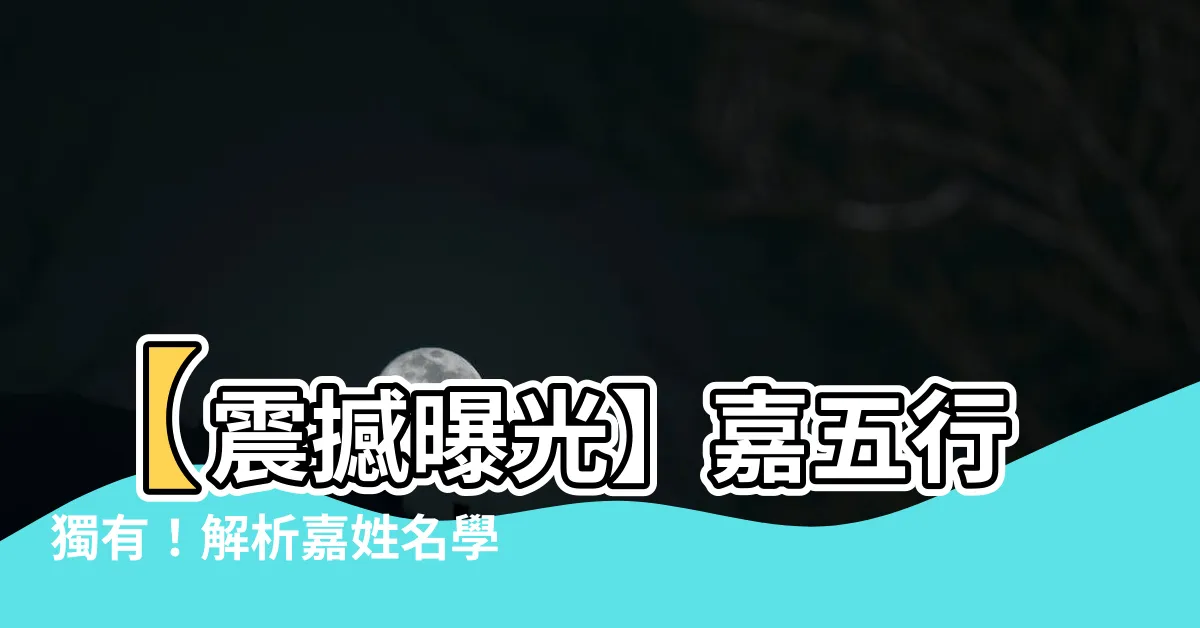 【嘉姓名學】【震撼曝光】嘉五行獨有！解析嘉姓名學，驚人結果曝光！
