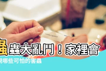【家裡會出現的蟲】蟲蟲大亂鬥！家裡會出現哪些可怕的害蟲？