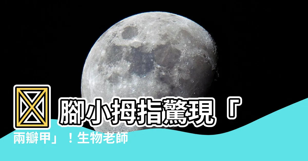 【腳小拇指】😱 腳小拇指驚現「兩瓣甲」！生物老師揭露真相，原來是…