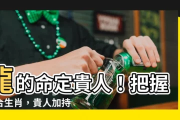 【龍的六合貴人】龍的命定貴人！把握六合生肖，貴人加持助攻運勢飛騰