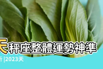 【天秤座今年運勢超準】天秤座整體運勢神準解析 |2023天秤座全年運勢完整版 |好運相隨的一年 |