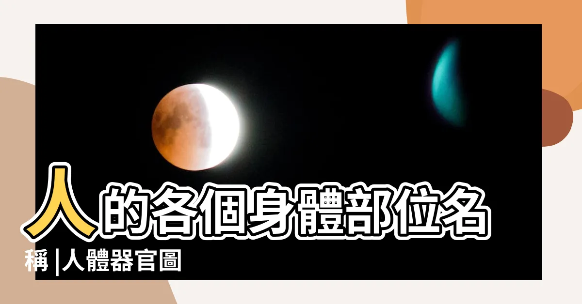 【人的身體部位】人的各個身體部位名稱 |人體器官圖 |人體器官 |