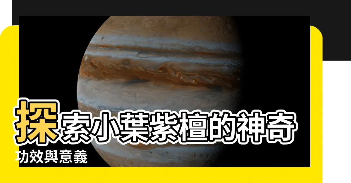 【小葉紫檀功效】探索小葉紫檀的神奇功效與意義