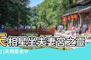 【天相左輔 夫妻宮】天相星坐夫妻宮之靈動力 |天相星坐守夫妻宮的分析 |入夫妻宮解説 |