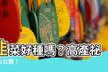 【韭菜好種嗎】韭菜好種嗎？高產秘笈大公開！