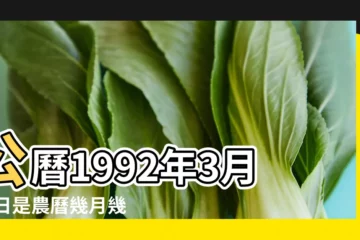 【1992年3月10日陰曆是多少號】公曆1992年3月10日是農曆幾月幾號 |1992年3月10日農曆多少號 |1992年3月10日出生時間看命運 |