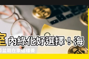 【海葡萄盆栽室內】室內綠化好選擇！海葡萄盆栽在家這樣養超容易！