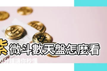 【天盤怎麼看】紫微鬥數天盤怎麼看？10分鐘讓你秒懂命盤奧秘！