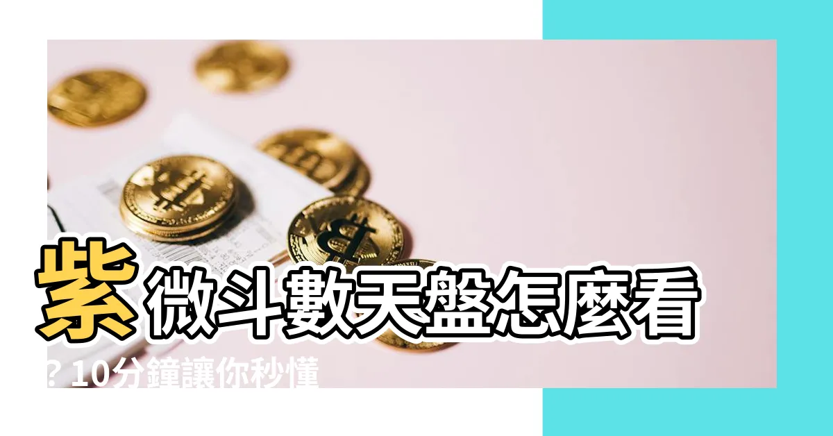 【天盤怎麼看】紫微鬥數天盤怎麼看？10分鐘讓你秒懂命盤奧秘！