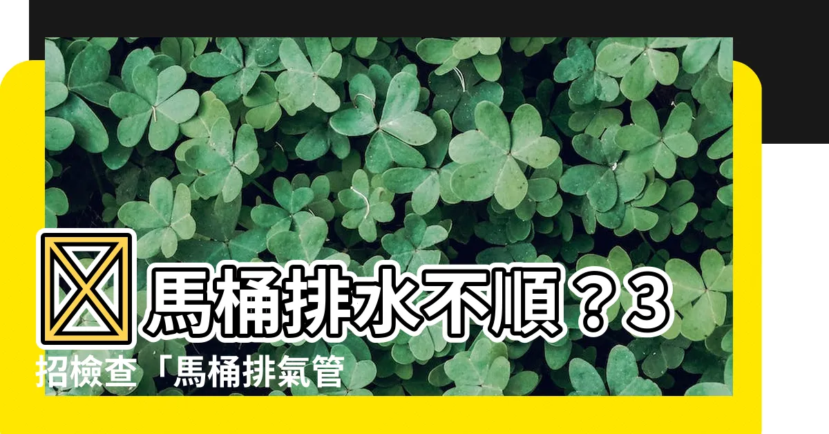 【馬桶排氣管位置】😨馬桶排水不順？3招檢查「馬桶排氣管位置」這樣看有沒有堵塞！