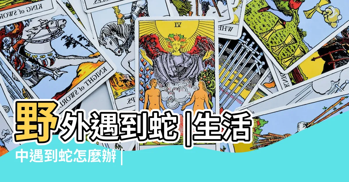 【遇見蛇】野外遇到蛇 |生活中遇到蛇怎麼辦 |遇蛇千萬不要跑直線 |