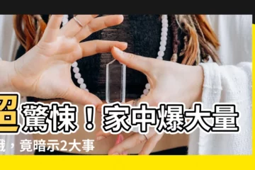 【出現飛蛾】超驚悚！家中爆大量飛蛾，竟暗示2大事要發生！