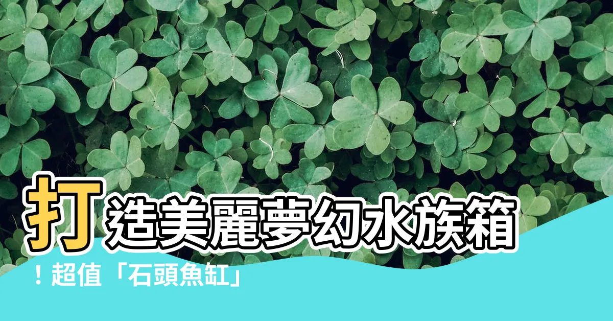 【石頭魚缸】打造美麗夢幻水族箱！超值「石頭魚缸」限時折扣優惠！
