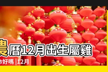 【屬雞生12月好嗎】農曆12月出生屬雞人命好嗎 |12月份出生的屬雞人命運真的不好嗎 |12月份出生的屬雞人命運真的不好嗎 |