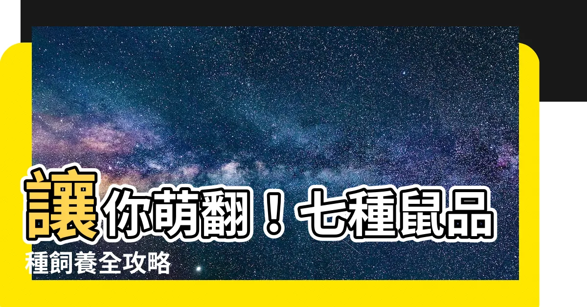 【老鼠 品種】讓你萌翻！七種鼠品種飼養全攻略