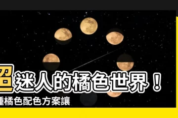 【橘色顏色】超迷人的橘色世界！各種橘色配色方案讓你看一次就驚豔