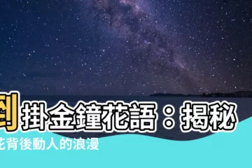 【倒掛金鐘花語】倒掛金鐘花語：揭秘奇花背後動人的浪漫故事