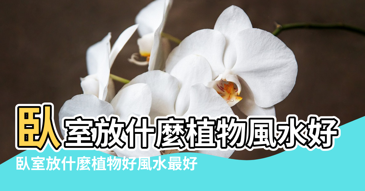 【臥室放什麼植物好風水】臥室放什麼植物風水好 |臥室放什麼植物好風水最好 |室內植物擺放風水禁忌有哪些 |