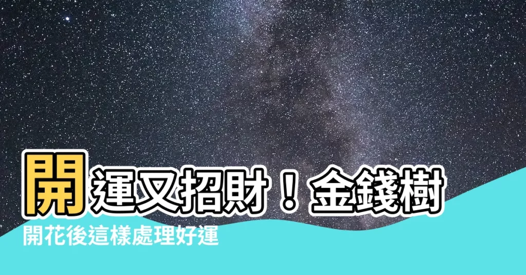 【金錢樹開花後】開運又招財！金錢樹開花後這樣處理好運旺旺來