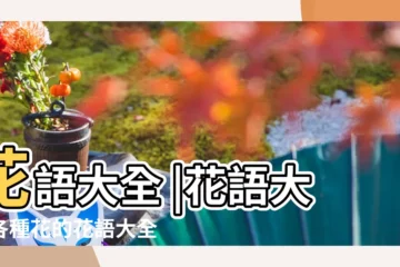 【花語的傳説大全】花語大全 |花語大全各種花的花語大全 |