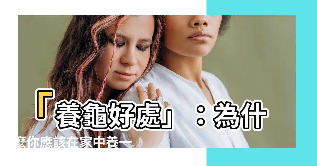 【養龜好處】「養龜好處」：為什麼你應該在家中養一隻烏龜