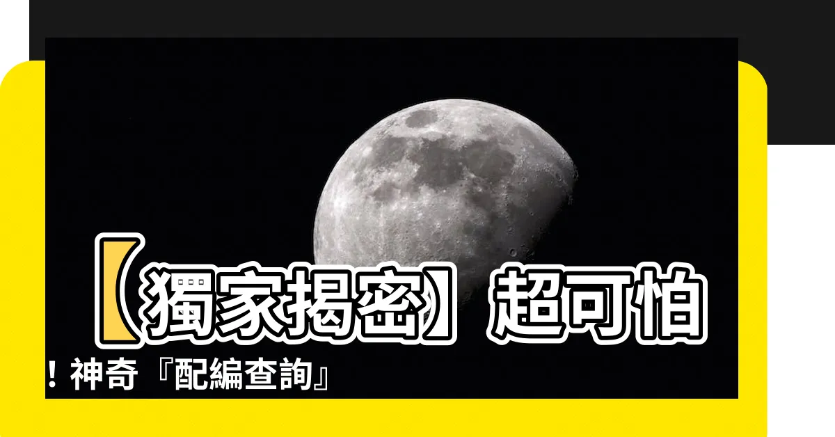 【配編查詢】【獨家揭密】超可怕！神奇『配編查詢』竟讓你瞬間月入百萬！