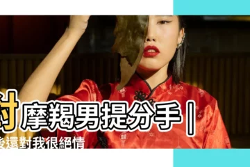 【跟摩羯男提分手他罵我】對摩羯男提分手 |之後還對我很絕情 |最後他生氣 |