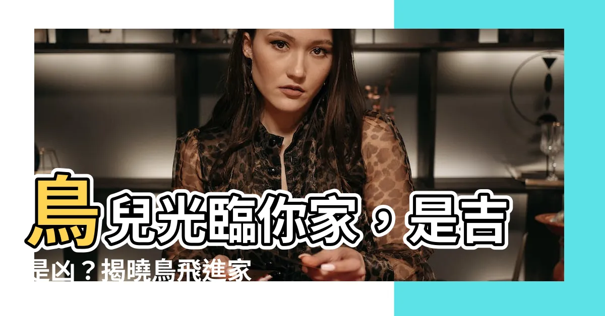 【鳥跑進家裡】鳥兒光臨你家，是吉是兇？揭曉鳥飛進家中的吉凶預兆