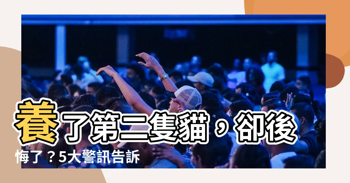 【後悔養第二隻貓】養了第二隻貓,卻後悔了?5大警訊告訴你,你可能並不適合!