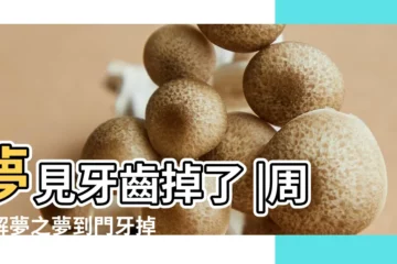 【夢見大門牙旁邊牙齒掉好不好】夢見牙齒掉了 |周公解夢之夢到門牙掉了 |夢見門牙旁邊的牙掉了 |